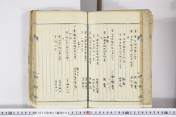 明い015070040003.jpg