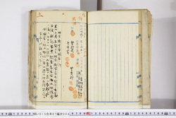 明い015070040004.jpg
