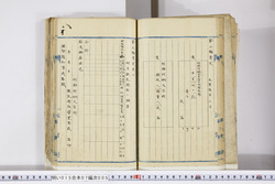 明い015070050010.jpg