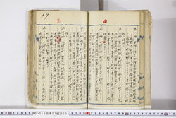 明い015070050028.jpg