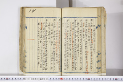 明い015070050029.jpg