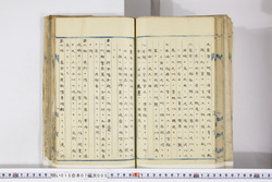 明い015070050033.jpg