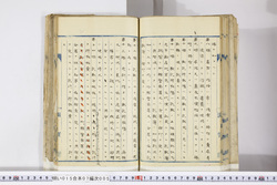 明い015070050034.jpg