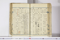 明い015070050035.jpg
