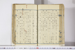 明い015070050036.jpg