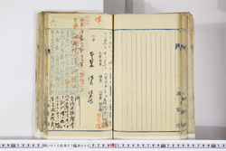 明い015070050041.jpg