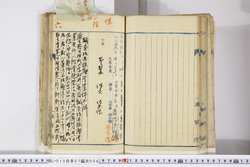 明い015070060002.jpg
