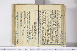明い015070060003.jpg