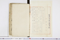 明い015070100003.jpg