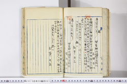 明い015080010002.jpg