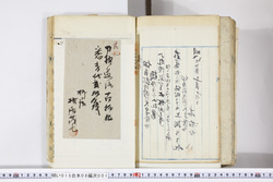 明い015080010005.jpg
