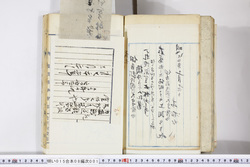 明い015080010006.jpg