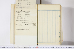 明い015080090005.jpg
