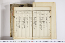 明い016010000004.jpg