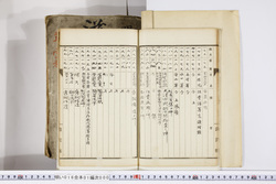 明い016010000011.jpg