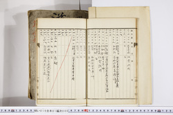 明い016010000013.jpg