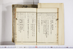明い016010000015.jpg