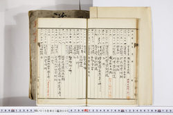 明い016010000016.jpg