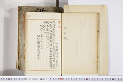 明い016010070005.jpg