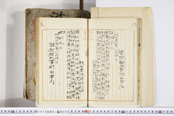明い016010090002.jpg