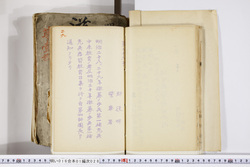 明い016010280003.jpg