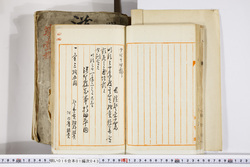 明い016010430002.jpg