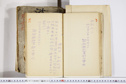 明い016010450002.jpg