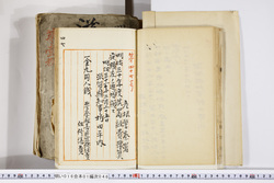 明い016010460002.jpg