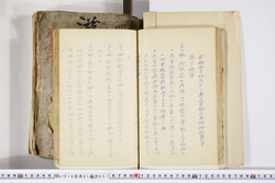 明い016010570002.jpg