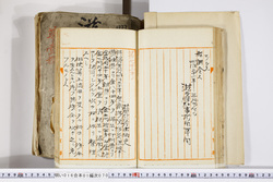 明い016010700002.jpg