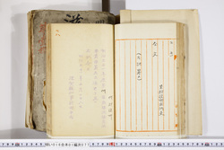明い016010770002.jpg
