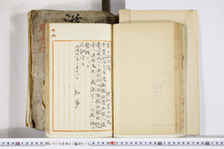 明い016010780003.jpg