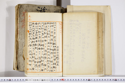 明い016010920002.jpg