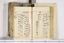 明い016010950002.jpg