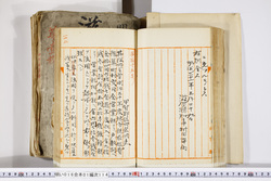 明い016011140002.jpg