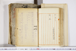 明い016011190002.jpg