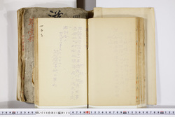 明い016011200003.jpg