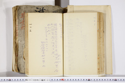 明い016011220002.jpg