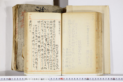 明い016011260002.jpg