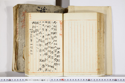 明い016011310002.jpg