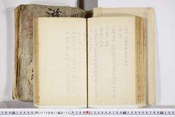 明い016011520002.jpg