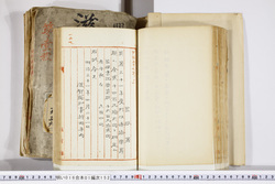 明い016011520003.jpg