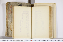 明い016011630003.jpg
