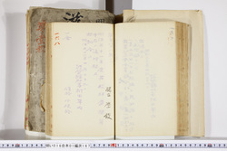 明い016011670002.jpg