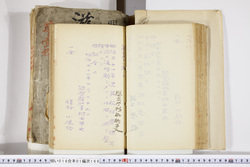 明い016011680002.jpg
