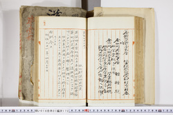 明い016011720002.jpg