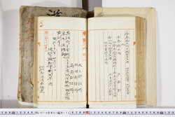 明い016011730002.jpg