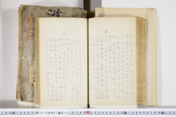 明い016011830003.jpg