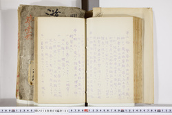 明い016011830004.jpg