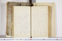 明い016011830005.jpg